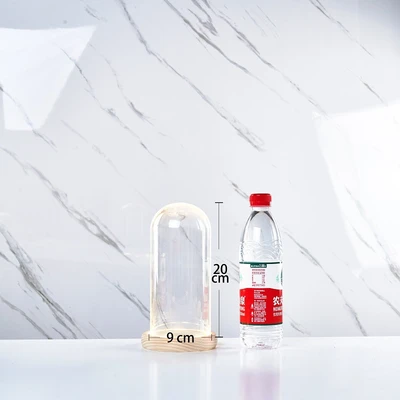 9*20 glass cover wood base