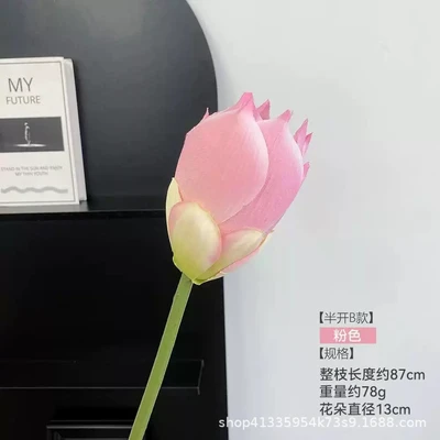 Half-open lotus, all pink